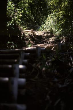初寝浦に降りる道